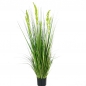 보리갈대 조화 그린 (150cm)
